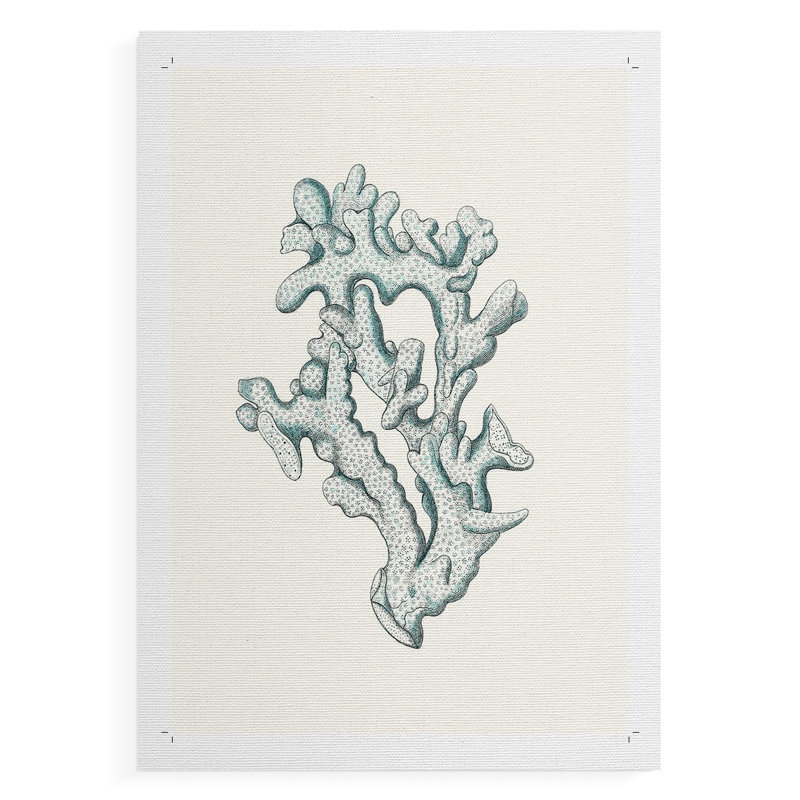 Corail antique antique IV - impression sur toile seulement - non encadrée, H 27 po x l 18 po