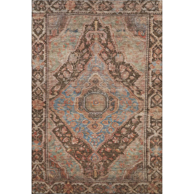 Premium Machine Washable Lucchesi AMF1761 Border Rug