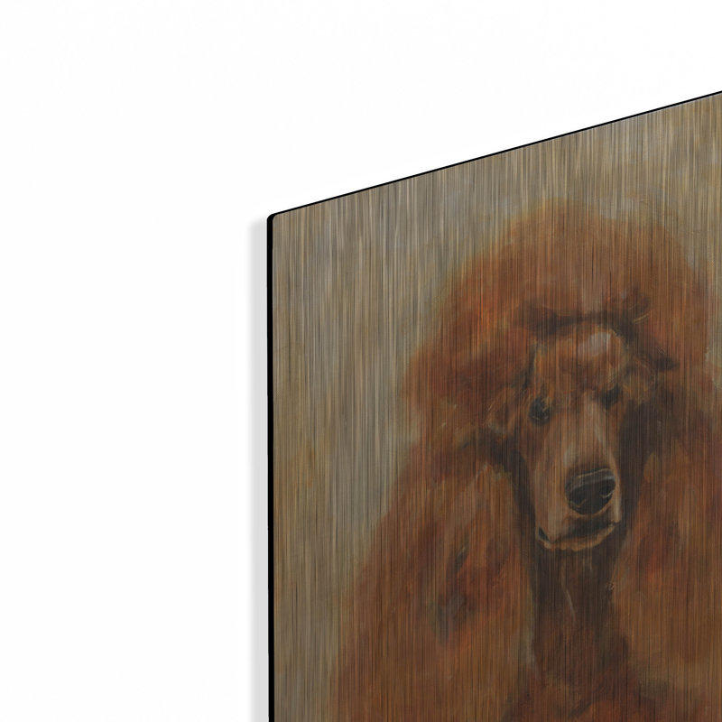 «Caniche abricot» par Solveiga, H 16 po x l 12 po