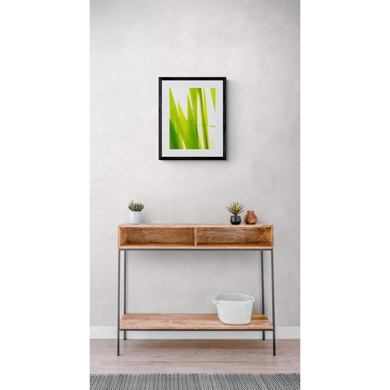 Sunkissed _ 3596 Print by Petra Trimmel, Black Framed Canvas, 32" H x 24" W