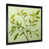 Black Single Picture Framed