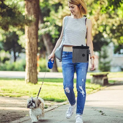 Dog Treat Pouch Carries Pet Toy Kibble