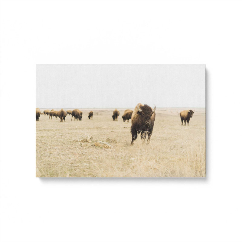 Wild Plains Canvas Print, 12" H x 18" W x 1.25" D, Wrapped Canvas