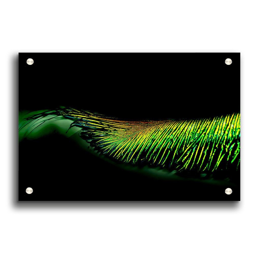 East Urban Home Peacock Feather 02 - Unframed Graphic Art Print on ...