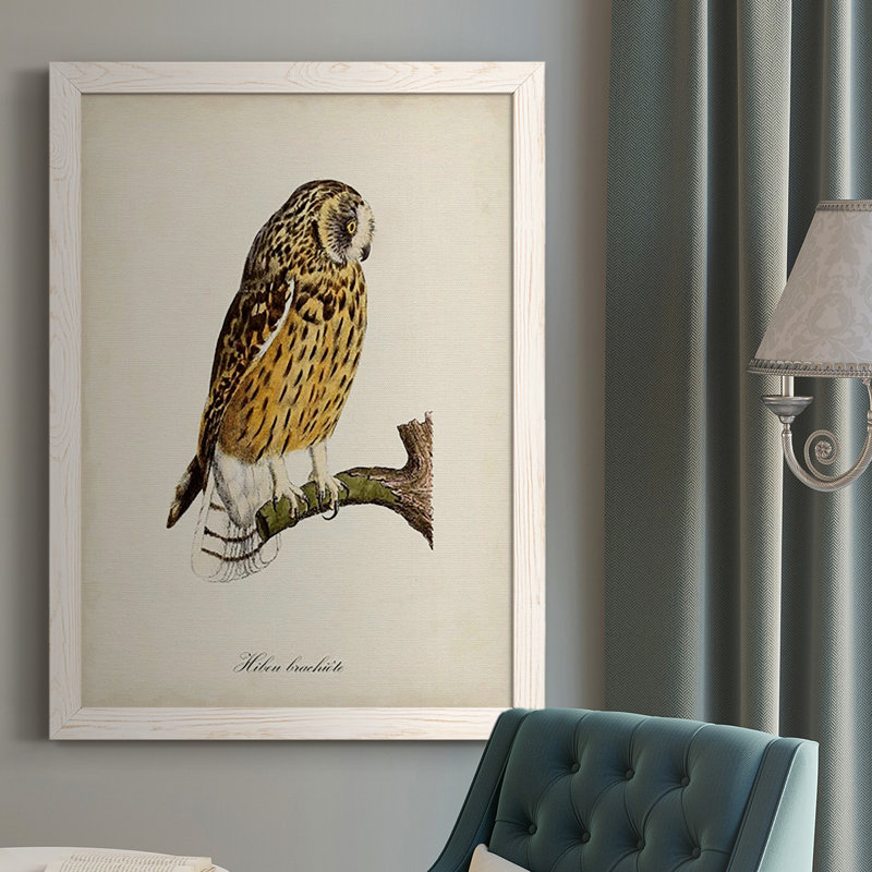 Maddock French Owls II, Cadre blanc, H 37,5 po x l 27,5 po x P 1 po