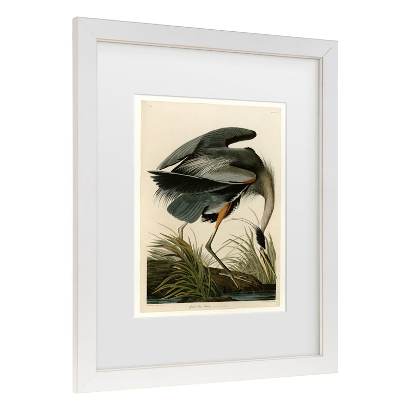 John James Audubon, «Great Blue Heron», art encadré mat, H 16 po x l 13 po x P 0,75 po
