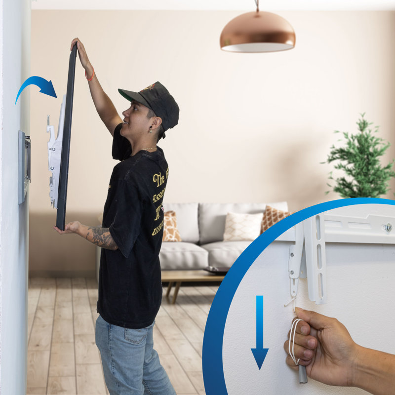 Mount-it Single Screen Wall Mount