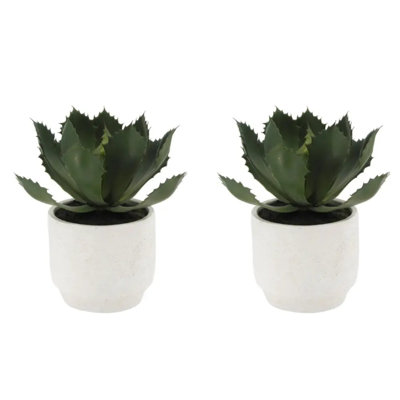 Ensemble de plantes artificielles succulentes dans des pots en pierre, paquet de 2 luxueux