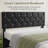 2 Pack Black Upholstered Headboard Adjustable Height Twin Size Platform Single Bed With Drawer-151016155