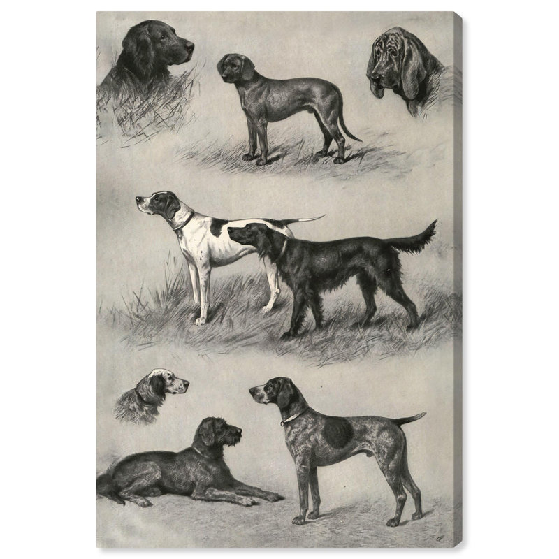 Generations of Dogs II Black and White Canvas Art