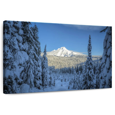 Alvord Mount Hood Winter Glimpse