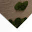 Tapis d'intérieur et d'extérieur brun Botanical-545163888