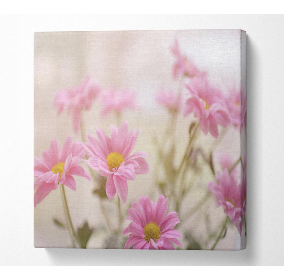 Lyster Pink Flowers In Soft Light - Druck