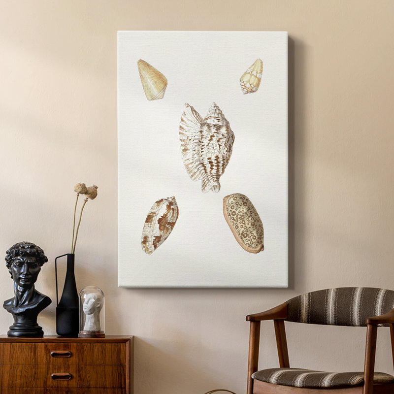 Pastel Knorr Shells VI - galerie Cavas sur mesure, H 18 po x l 12 po