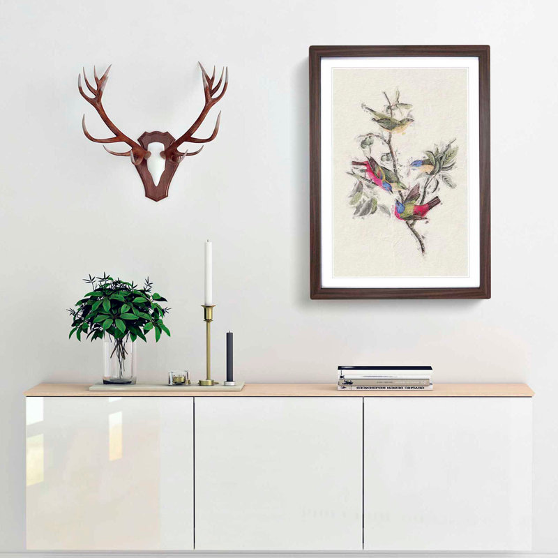 Painted Finches by John Audubon - Framed Print, Walnut Framed, 36cm H x 27cm W x 2cm D