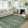 Elyria Performance Oriental Area Rug