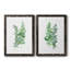 Eucalyptus I - ensemble de 2 reproductions d'art sur toile-2055588289-2055588298