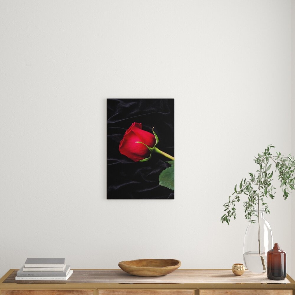 Leinwandbild Rose, Fotodruck