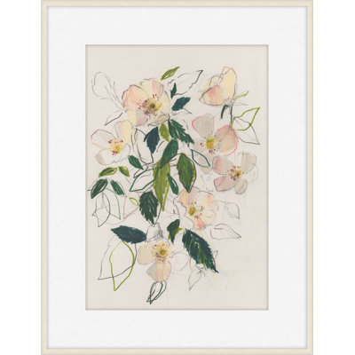 Soft Blush Dog Rose 1 Framed Print