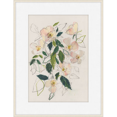 Soft Blush Dog Rose 1 Print