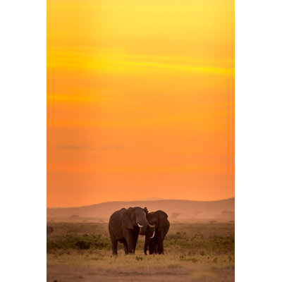 Mighty World of Elephants 1 Piece Wrapped Canvas Wall Art