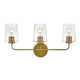 Verbena 3 Light Transparent Dimmable Vanity Light