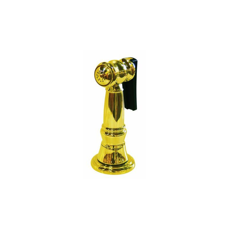 Side Sprayer, Polished Brass