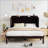 Queen Size Murphy Bed