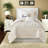 Soft Contemporary Bedding Sets, Hypoallergenic Microfiber Comforter With Decorative Pillows