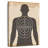 Human Shooting Target-137937990