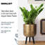 Metallic Concrete Effect Cylinder Round Planter on Hardwood Legs, Round Indoor Plant Pot Stand for Indoor Plants, Indoor Flower Pot-1091484466-1091484465