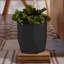 Pot à fleurs Billeaud-1915505589-1915505585