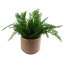 Ceramic Indoor Cachepot