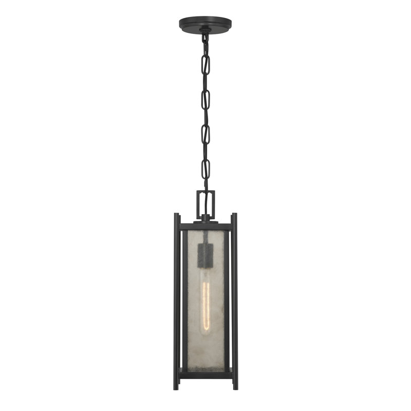 Torven 1-Light Outdoor Hanging Lantern in Matte Black, Matte Black