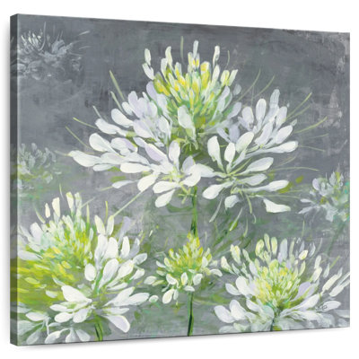 Farmhouse Cleome I