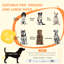 Cat Cage/Crate