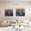 Tulipes Harnek mauve foncé-109117992