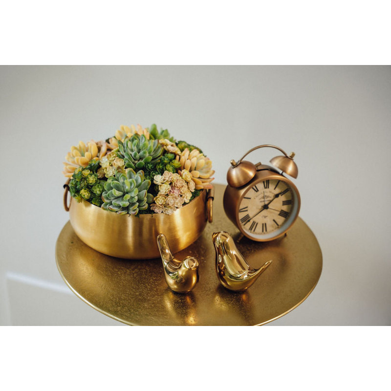 Blaise Succulent Arrangment