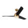 Thalia 54'' Ceiling Fan with LED Lights