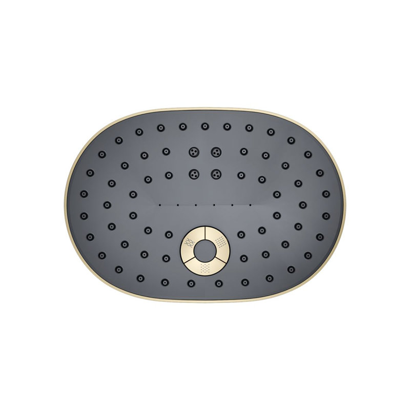 StatementOval Multifunction Showerhead with Katalyst Air-Induction Technology, Vibrant French Gold