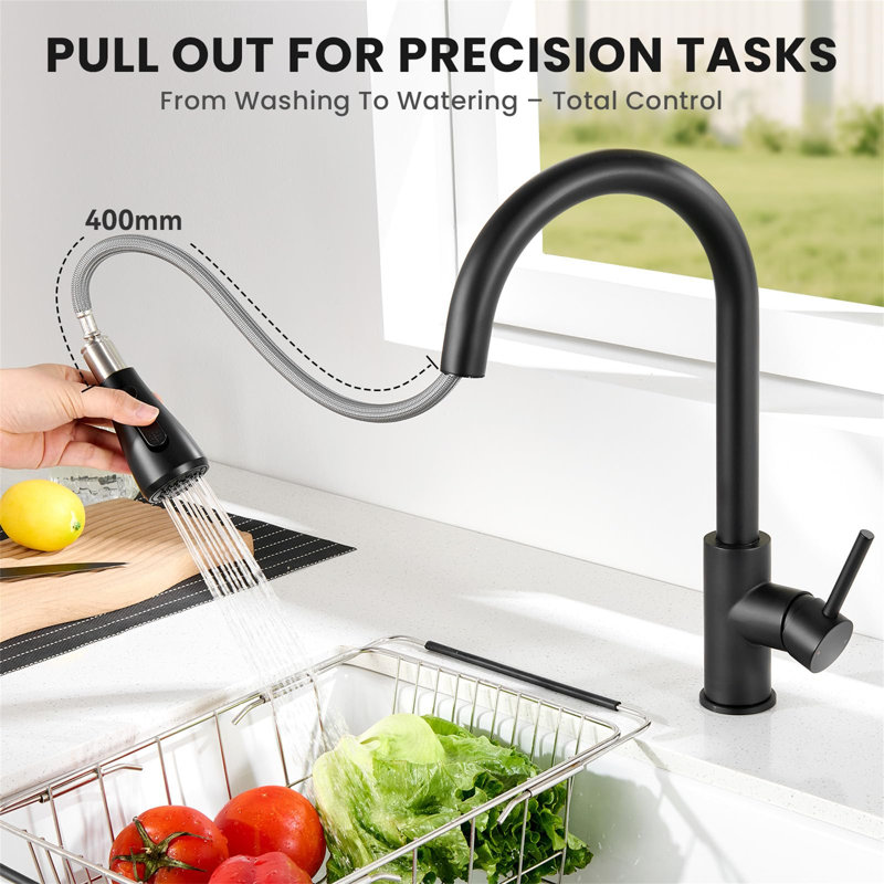 Belfry Kitchen Kitchen Faucet, Matte Black