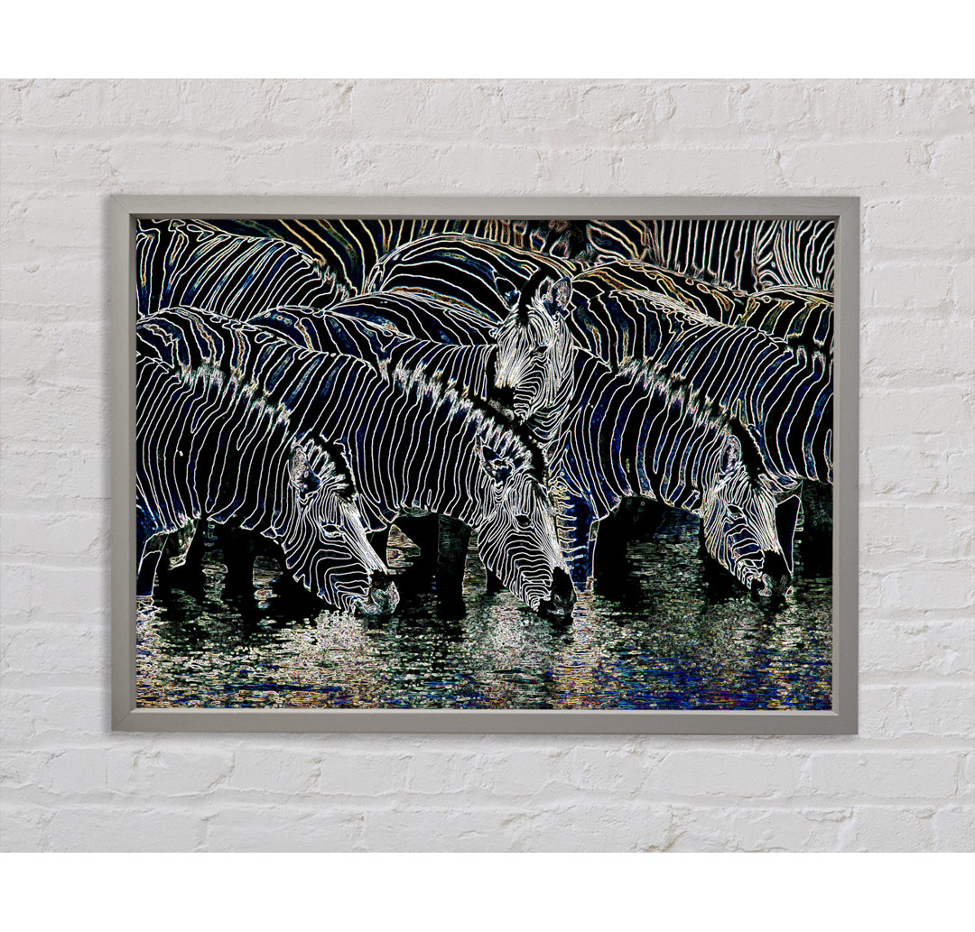 Zebra am Wasserloch Gerahmter Druck Wandkunst