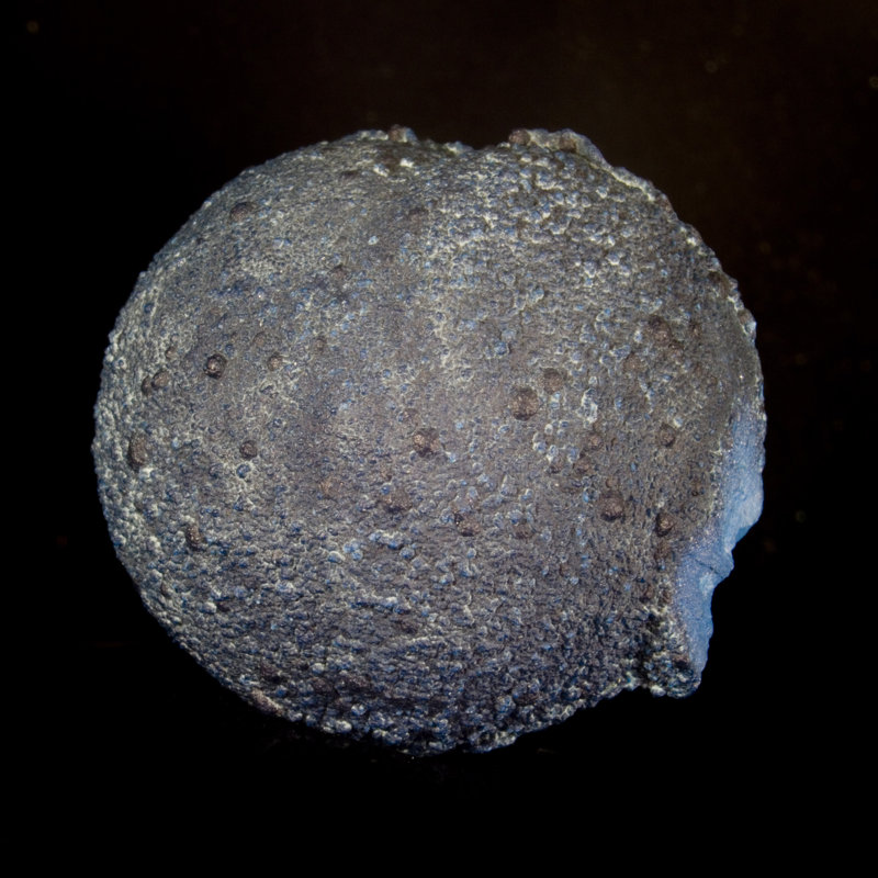 Shattuckite - Tantara Mine, D.R. Congo