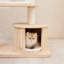 Arbre à chat Luxury Crown