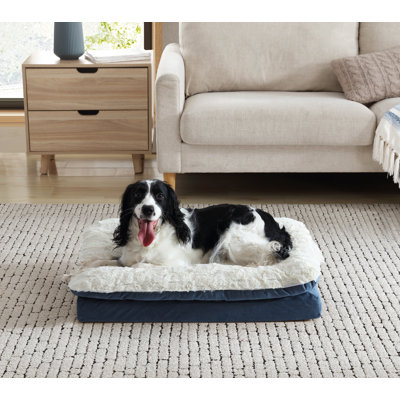 Archie & Oscar™ Home & Pet Pillow Top Orthopedic Pet Bed