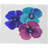 Jewel Tone Pansies Modern & Contemporary Floral Duvet Cover