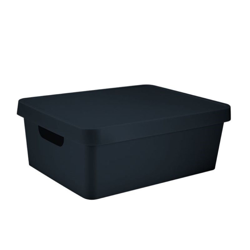 Bac de rangement Rebrilliant Nyeisha, Noir, 11,62 pintes