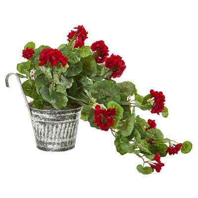 Geranium Hanging Basket Arrangement in Planter