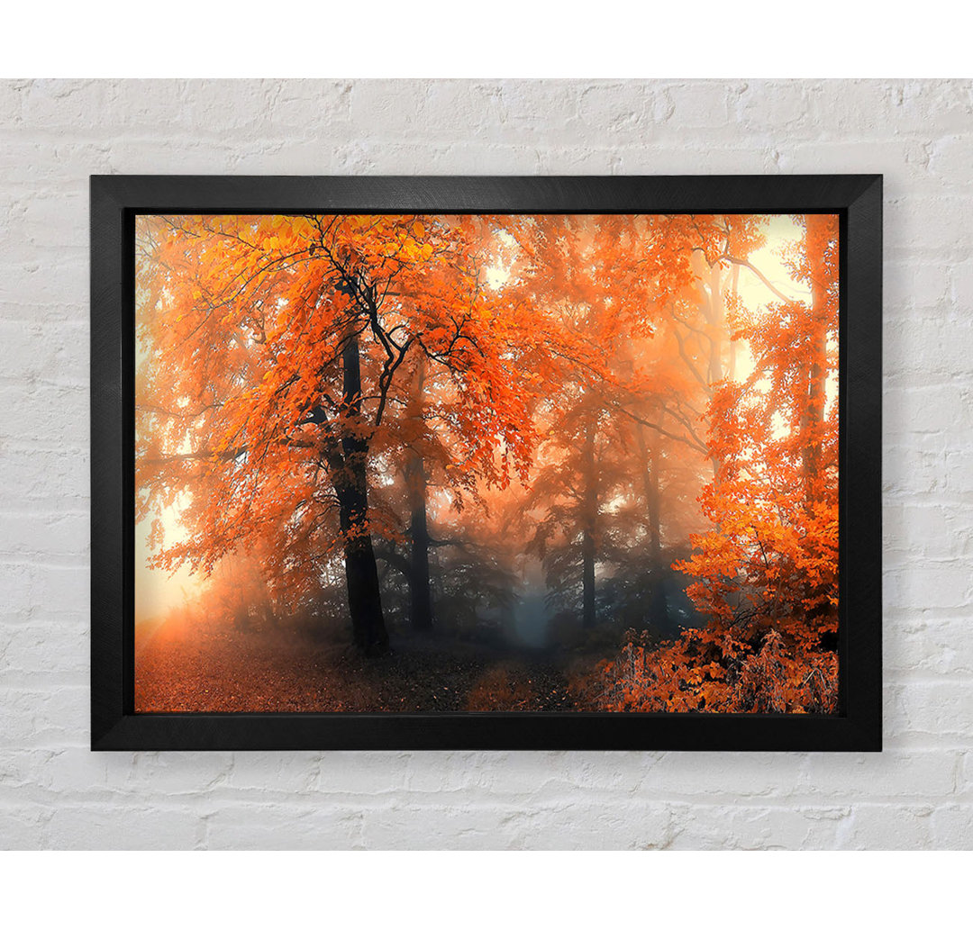 Herbst Orange Mist - Druck