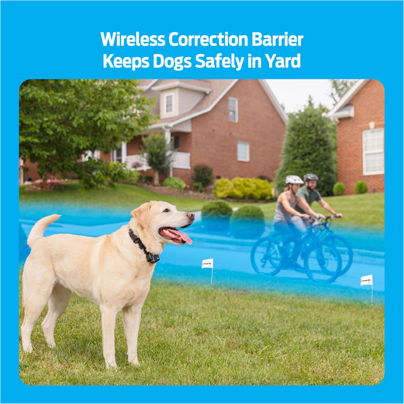 Premier Pet Wireless Fence